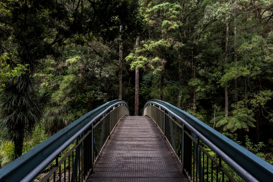 Inter-Cultural Intelligence in Australia, Asia and New Zealand:&nbsp;A Success Story